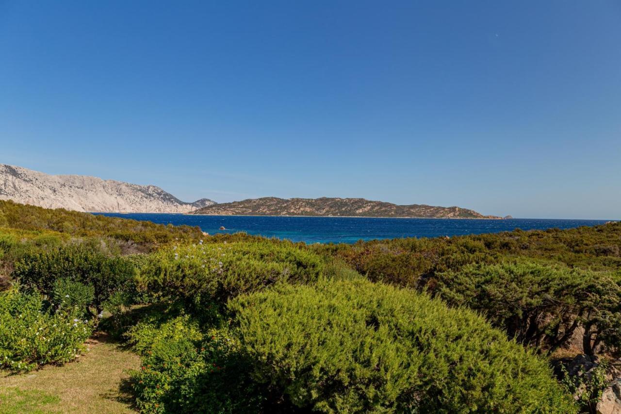 Appartamento Cala Paradiso San Teodoro  Exterior foto